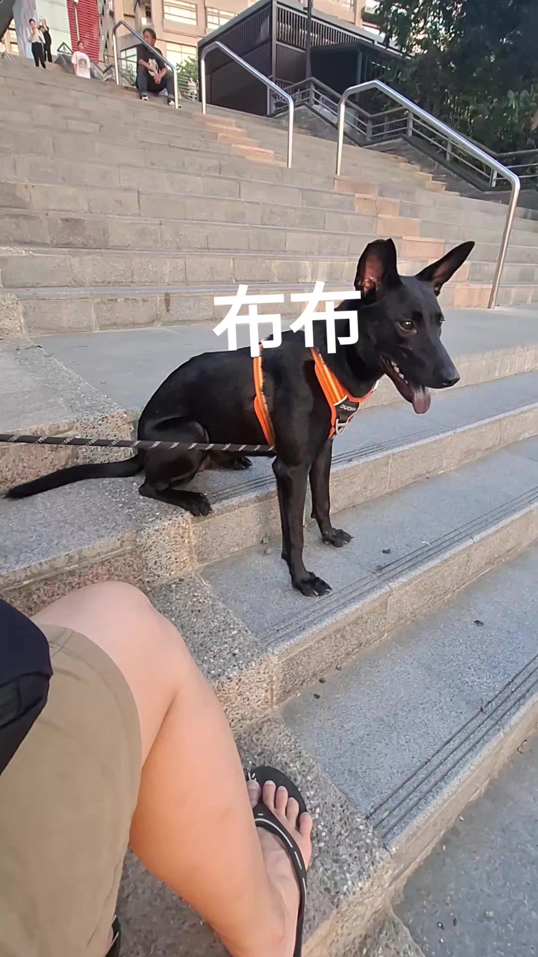 @張漢娟