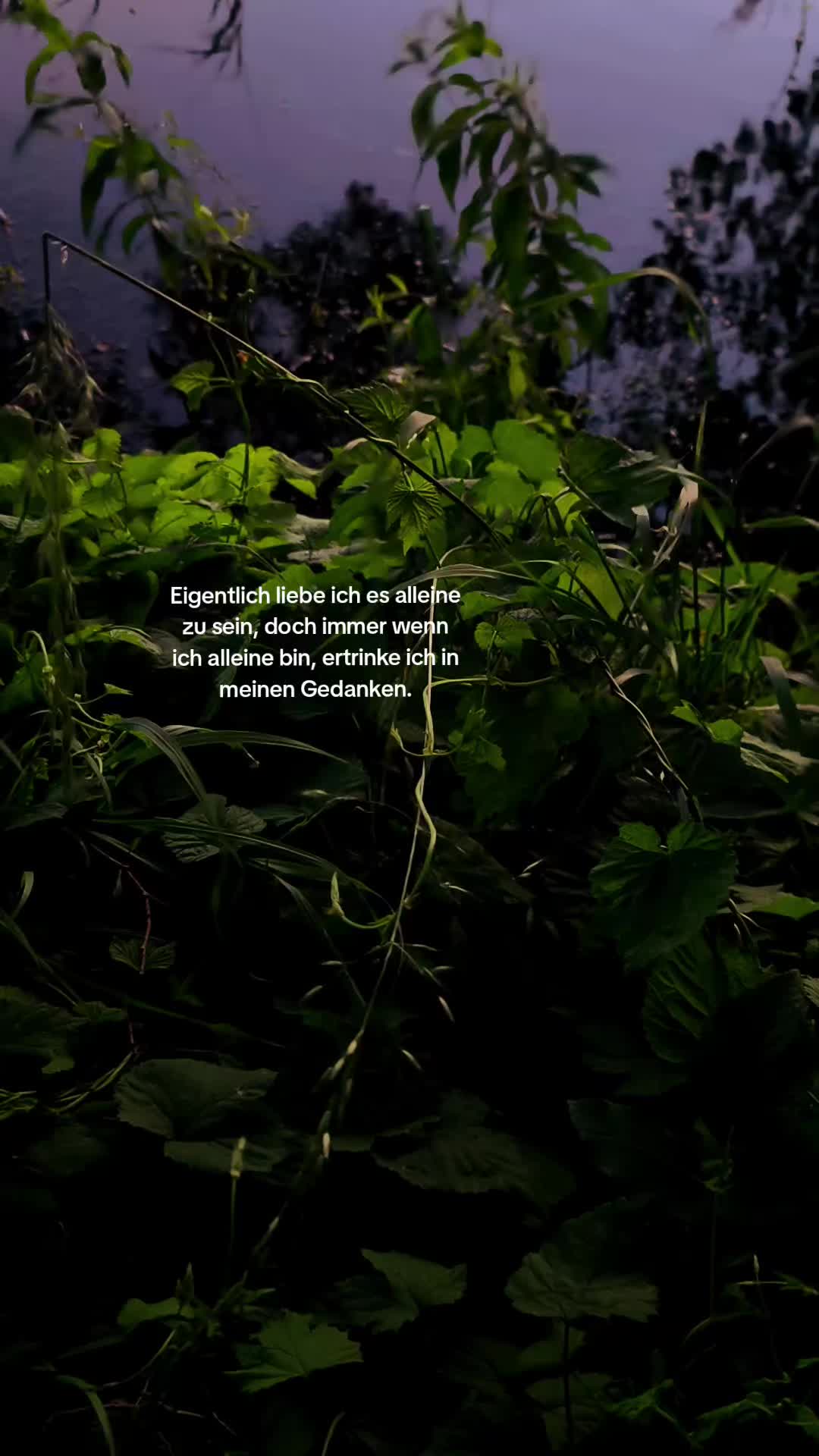 @sprueche_zitate_2