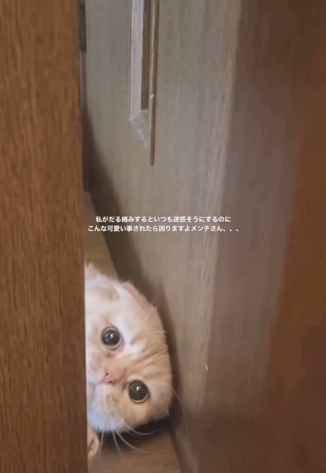 @ワタシの可愛い天使達💘