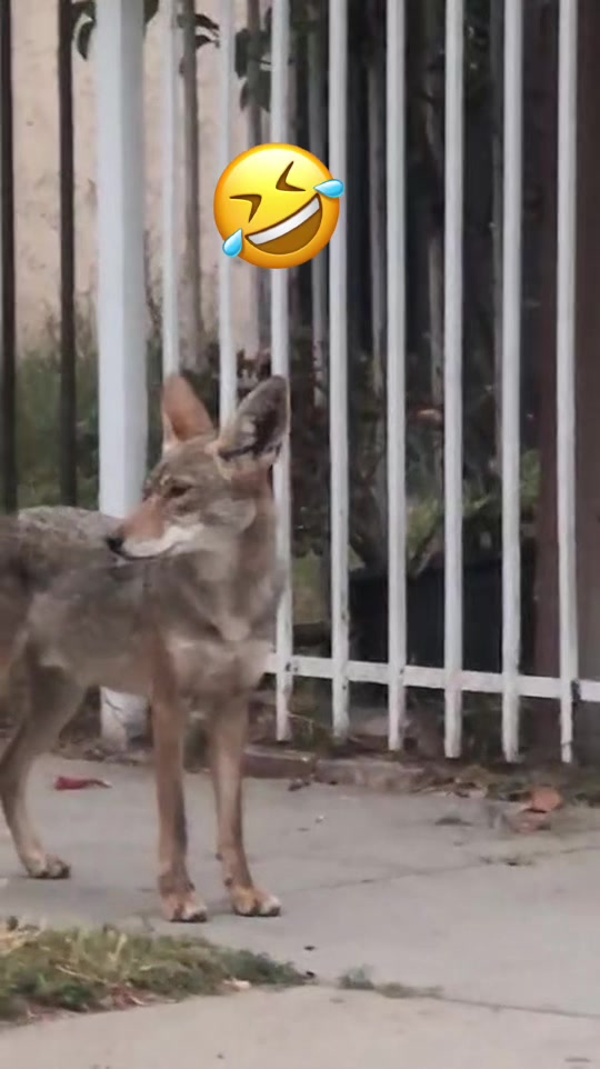 @noticiero562