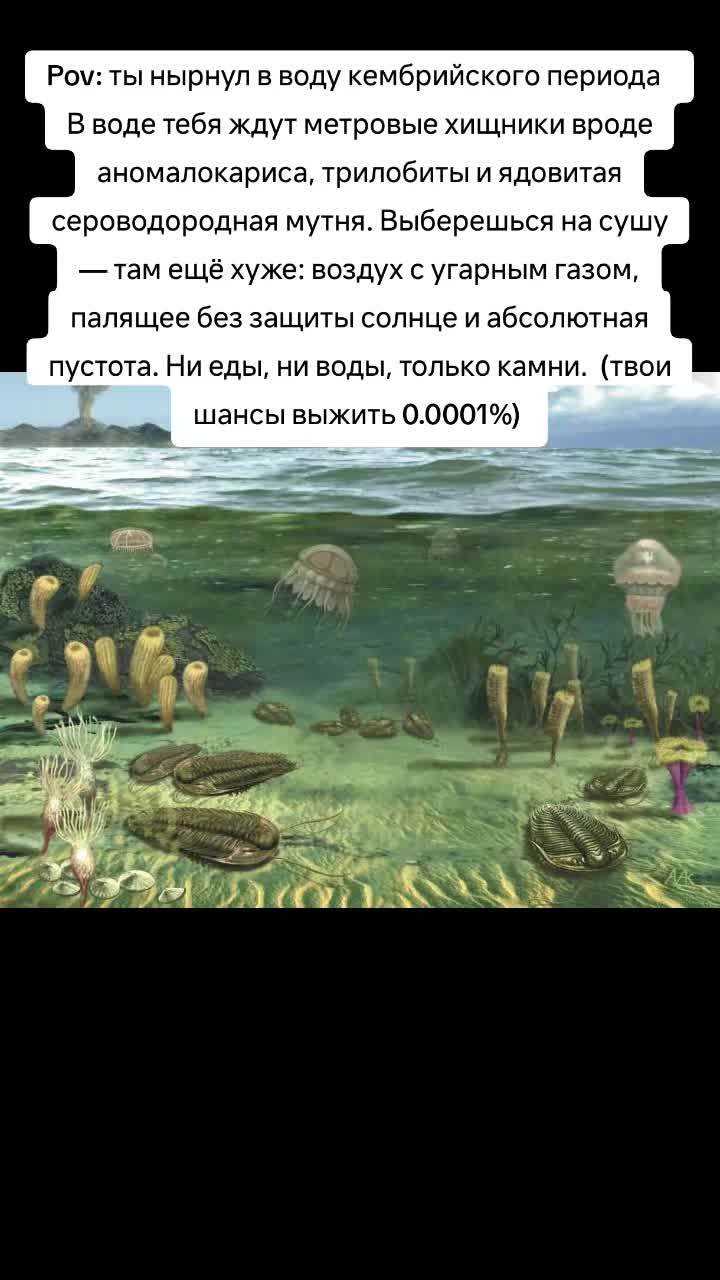 @Сендвич🕶