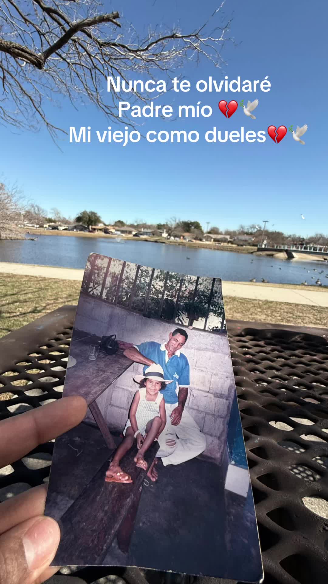 @Vanessa Camacho