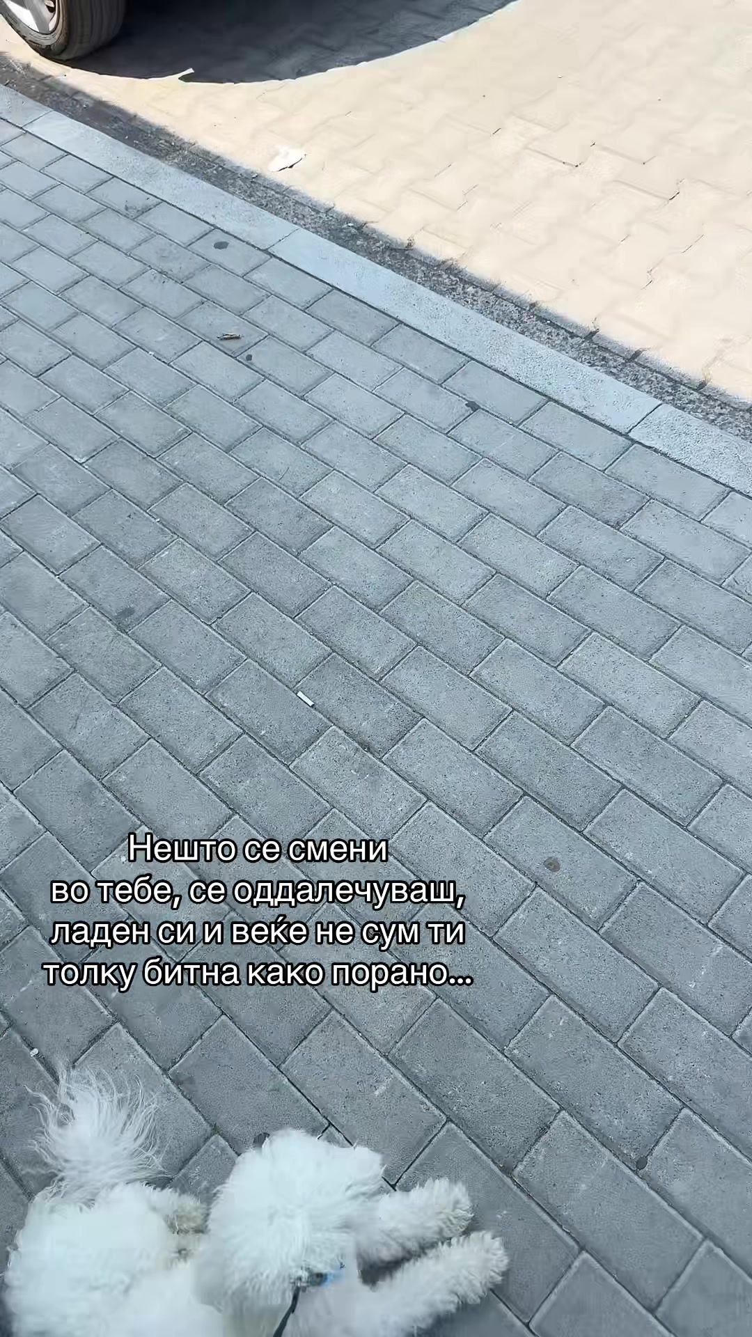 @🤷🏽♀️