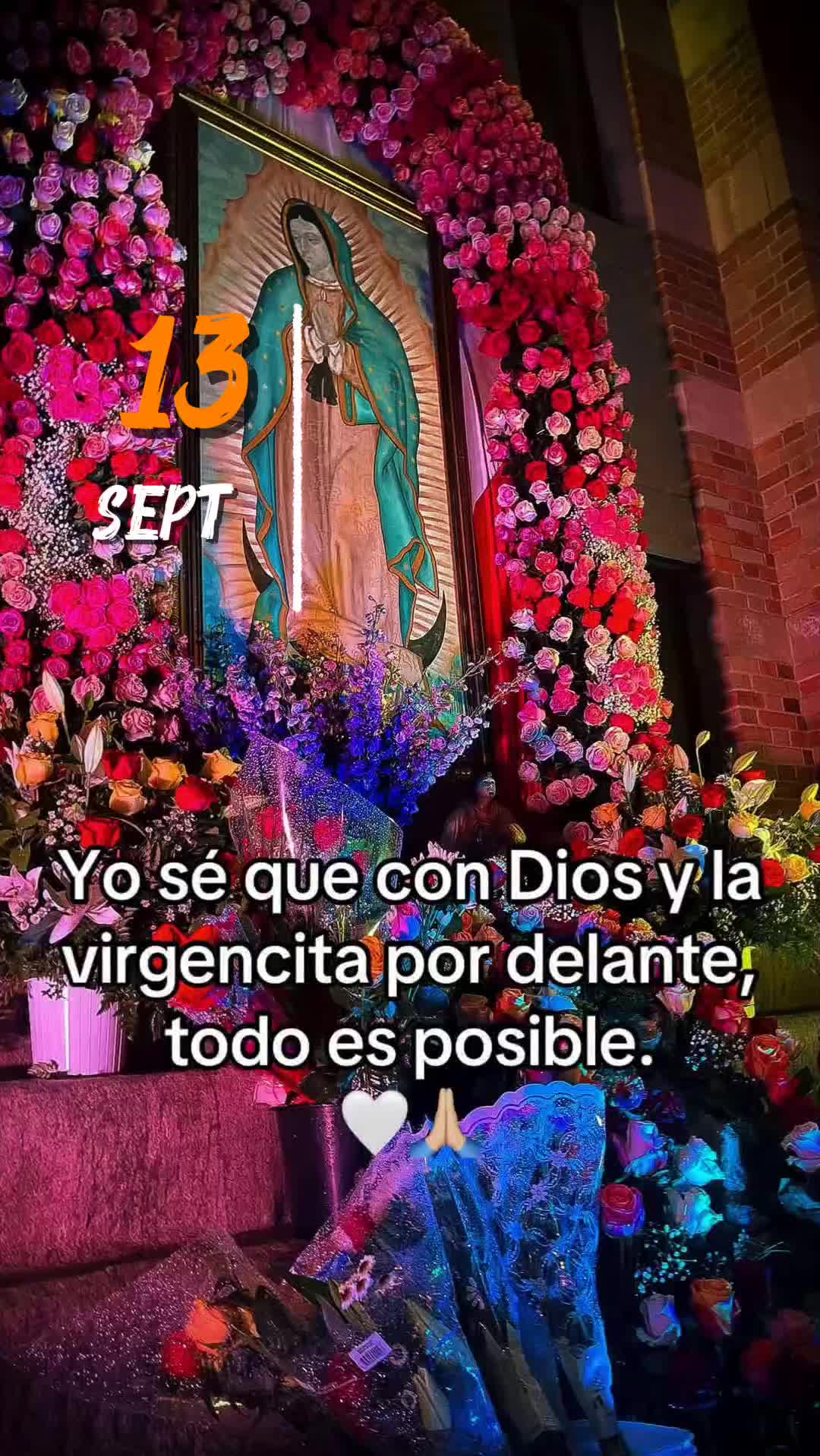 @Doris.L