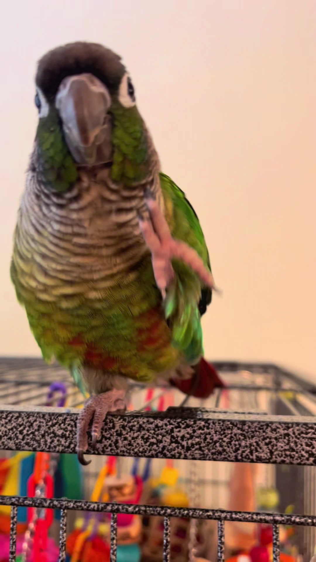 @Houdini 🦜🧚&zwj;♀️💕