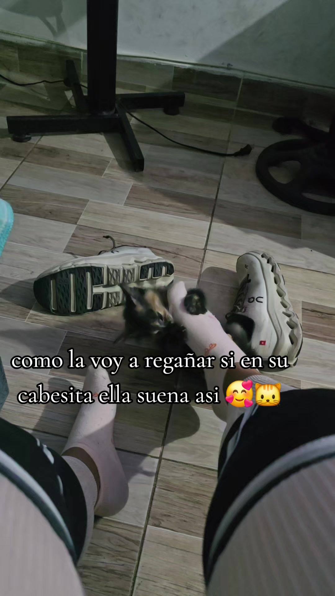 @alexxas💯👸