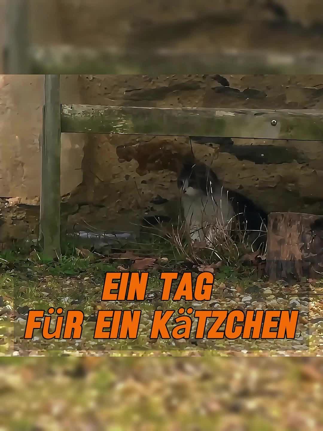 @Geo Tierwelt