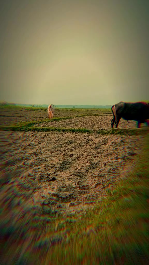 @Yadav ji