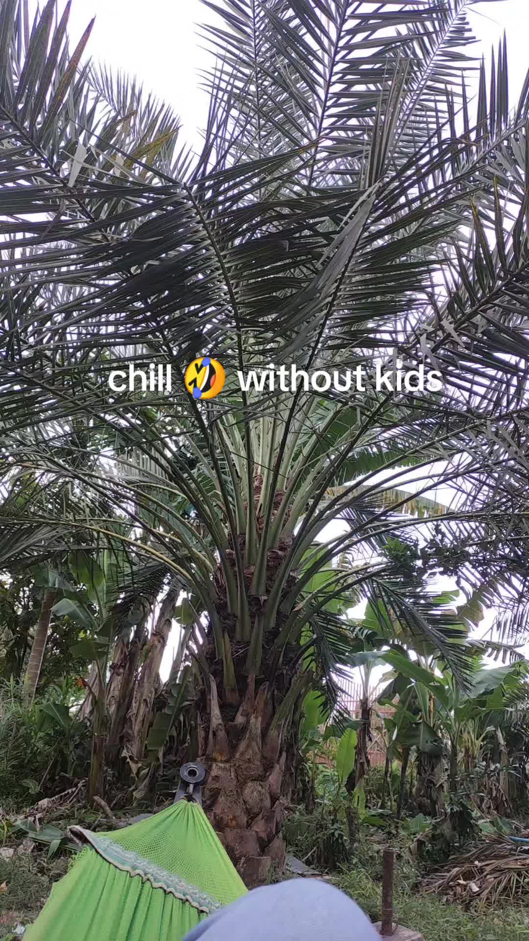 @Sophies