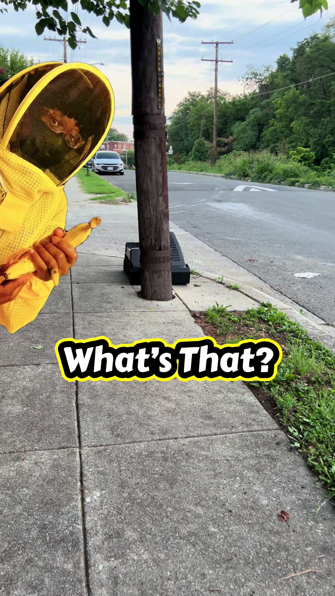 @DCBananaLady