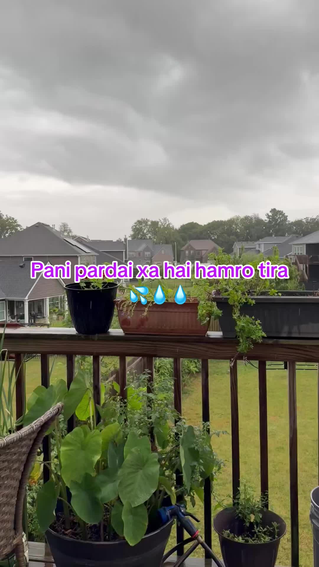 @🦋☃️🙏