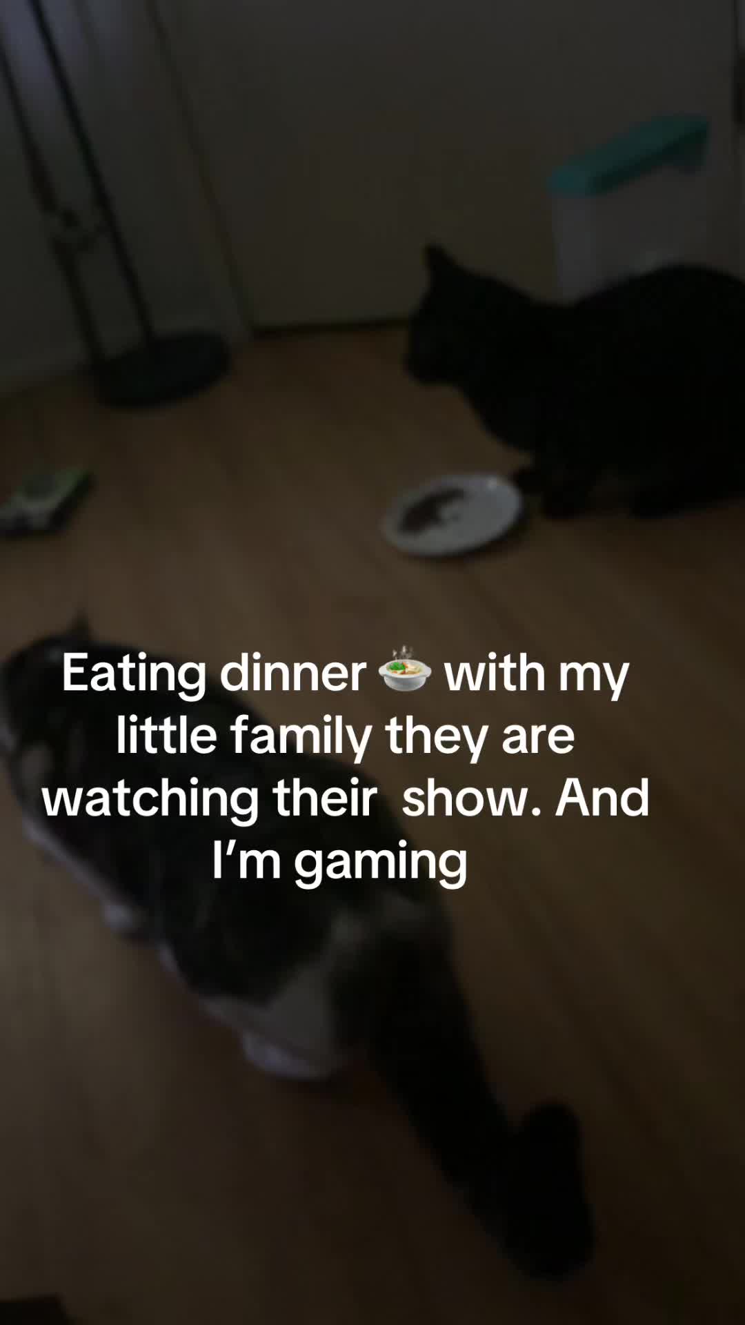 @Mr.invader_zim