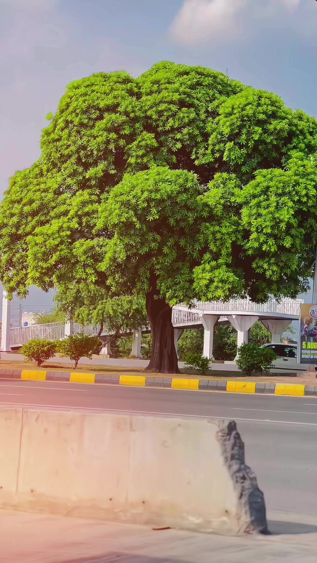 @WaقaS JaNii❤️