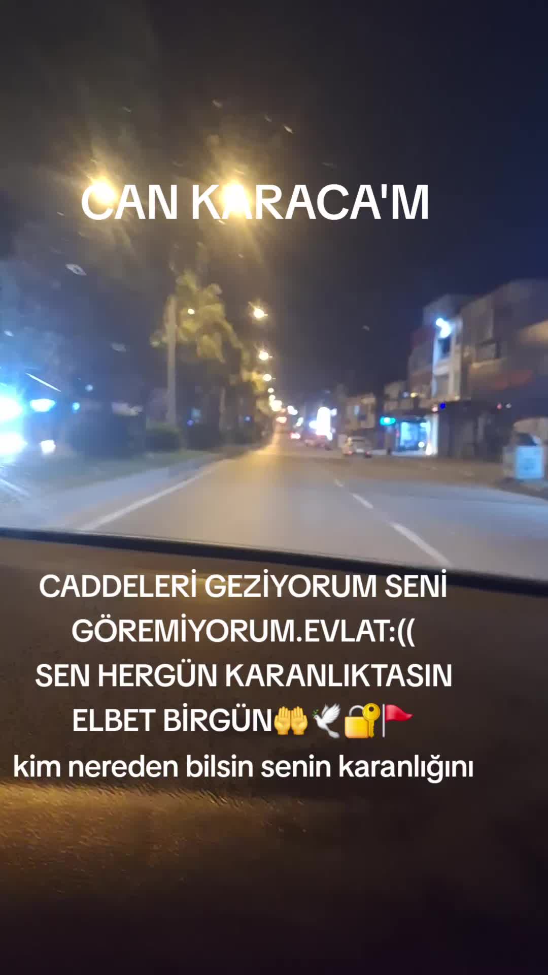 @can_gul0102
