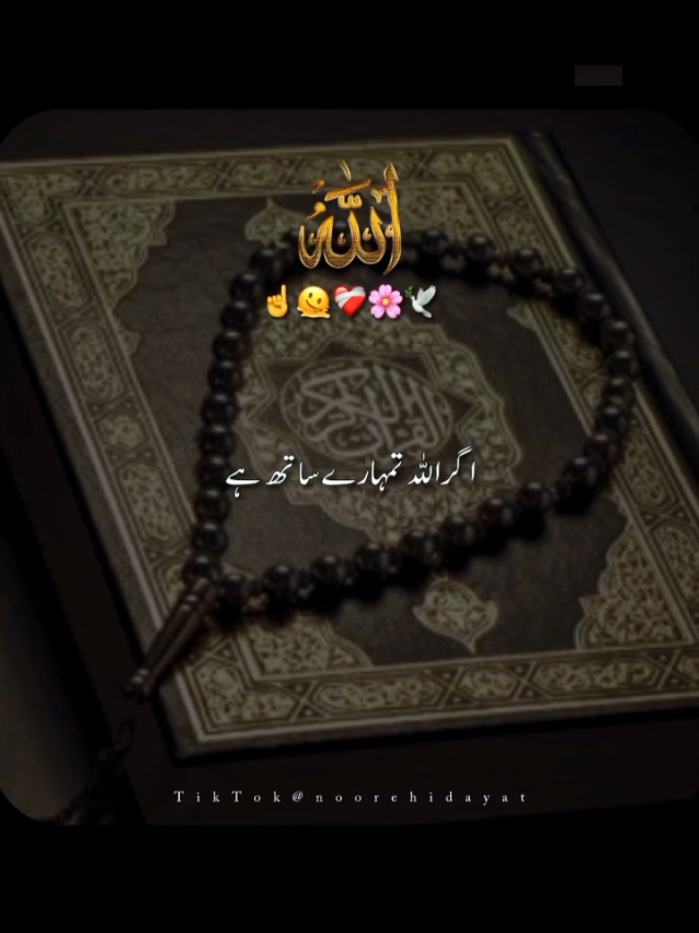 @Noor-e-Hidayat