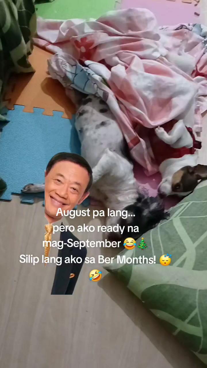 @renantepet
