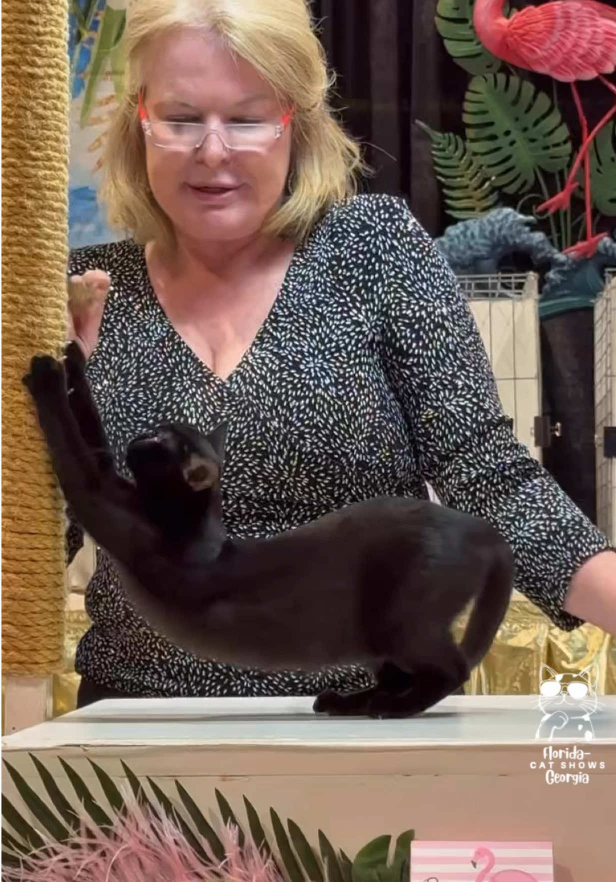 @NewVisionCatClub