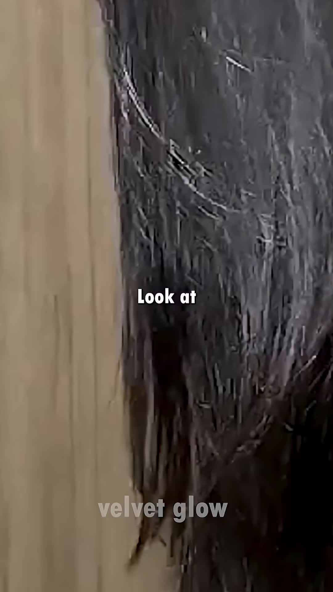@beauty tips !