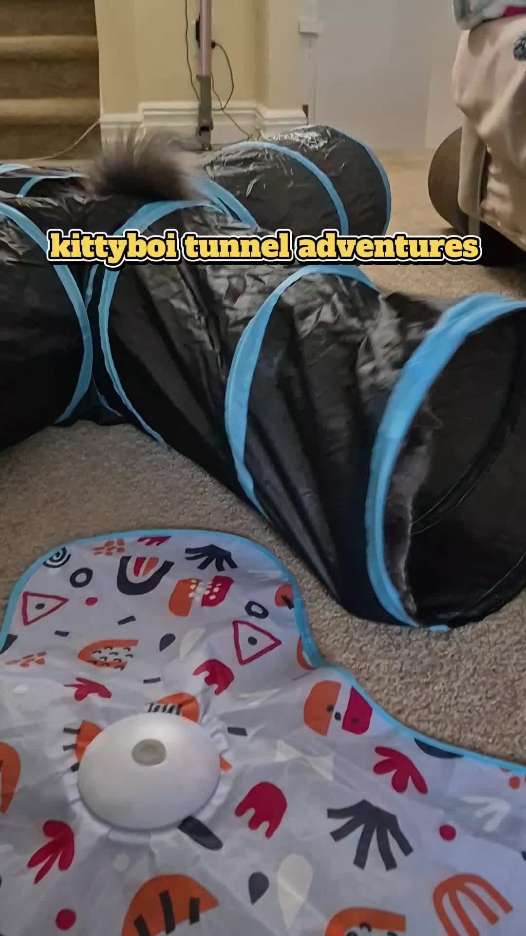 @Kittyboi