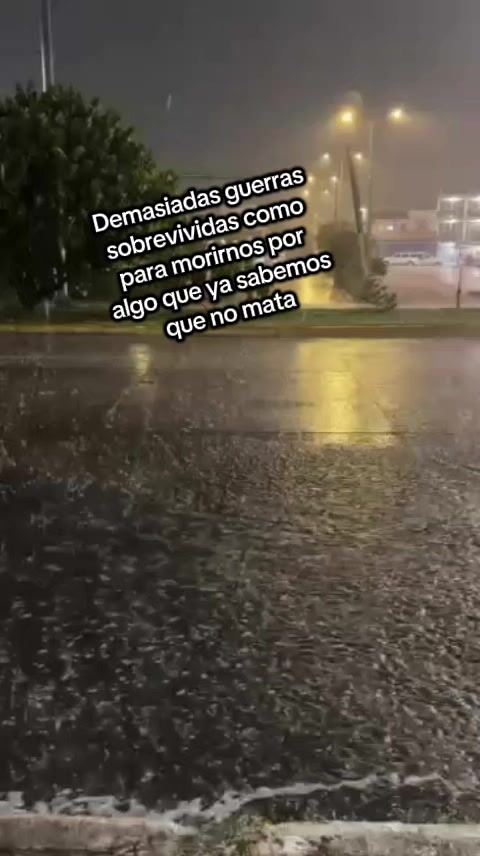 @maggye diaz