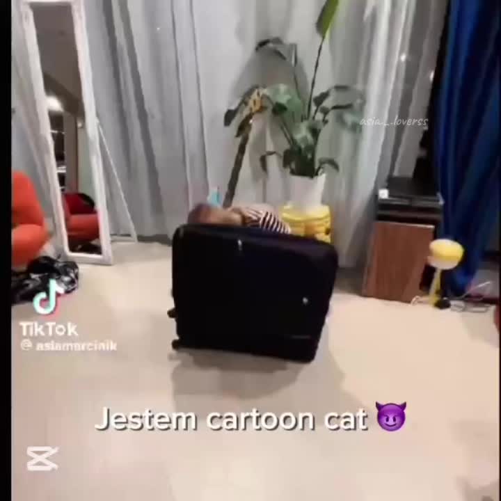@Mค&eta;&iota;&alpha; II &alpha;ѕ&iota;&alpha;.ℓ&sigma;&nu;єяѕѕ