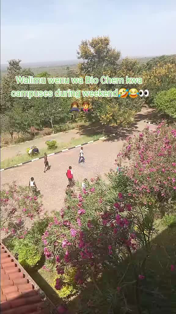 @chengasia254