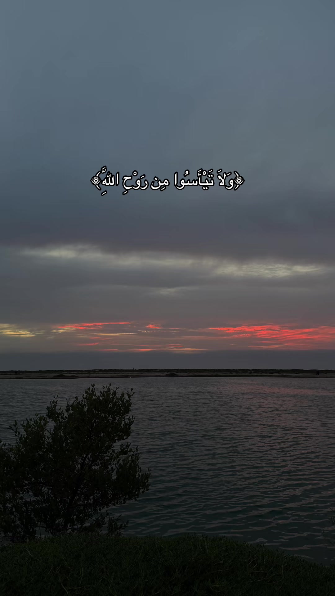 @سِــين | SEEN