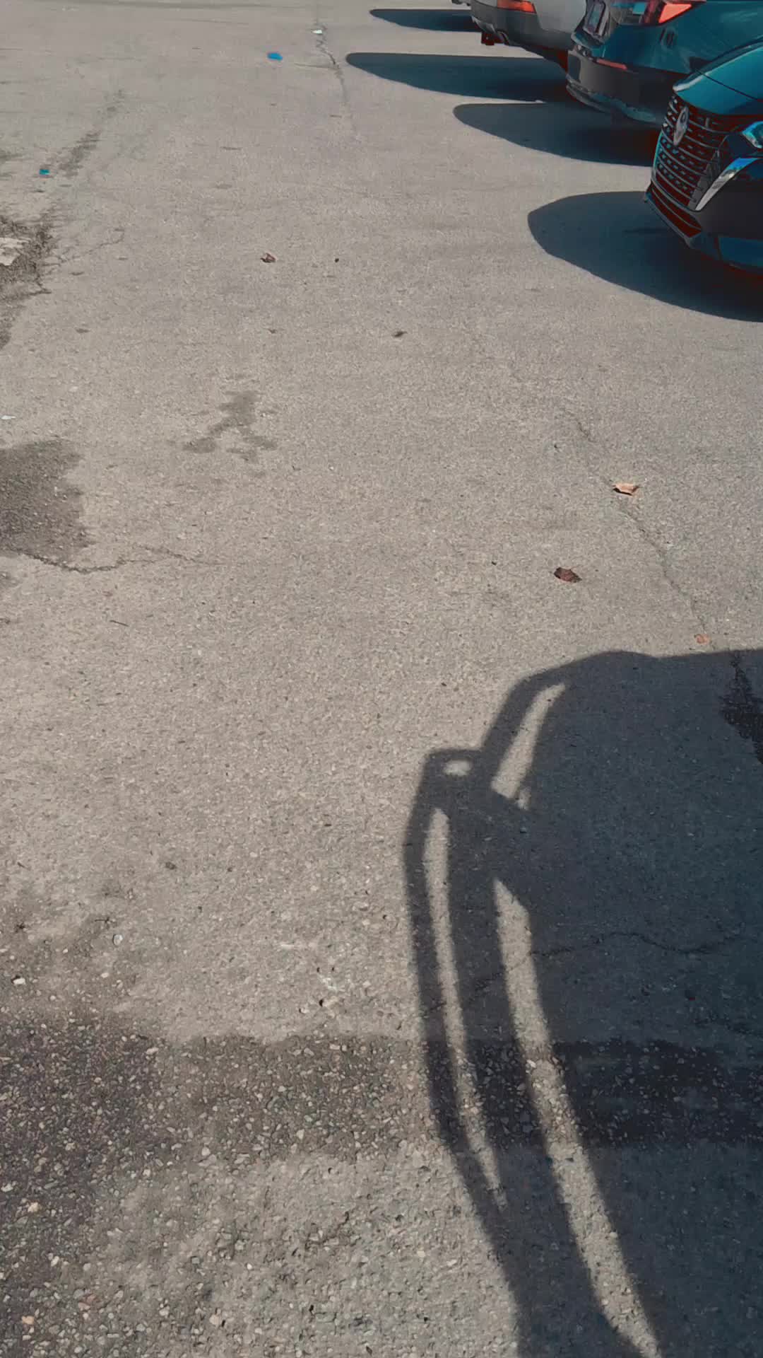 @Primo🤟Lejano🐉