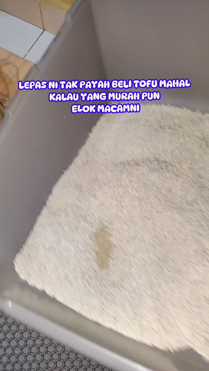 @Omma Kucing 🇲🇾🍉