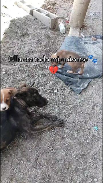 @ElyAlonzo