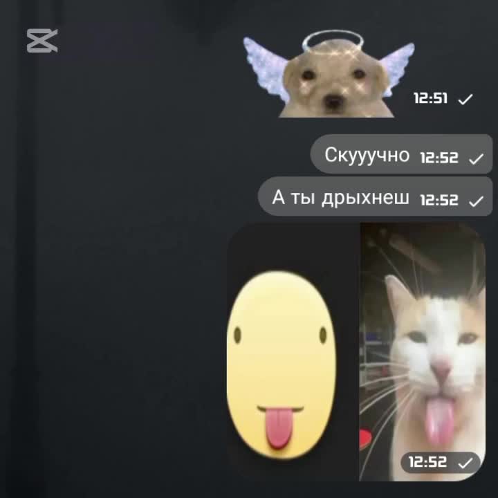 @твоя Рин🪽