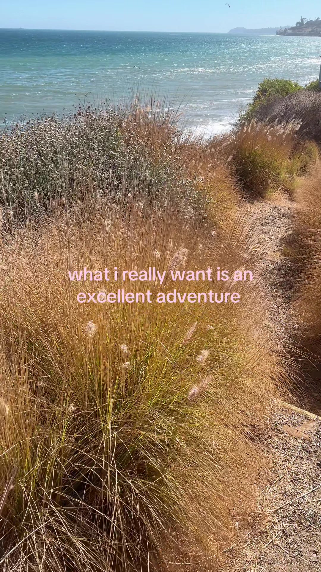 @priscilla mars