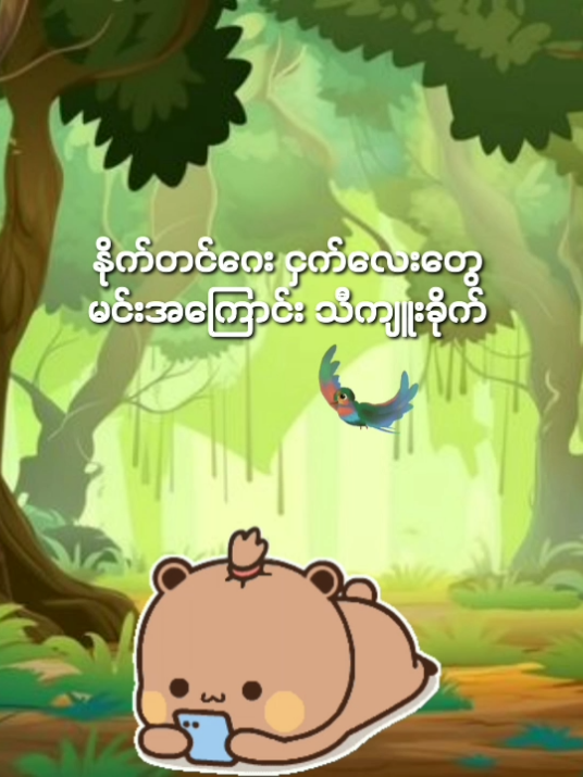 @๐ฒ๐๐๐ ๐ป๐ข๐๐๐๐ โฟ