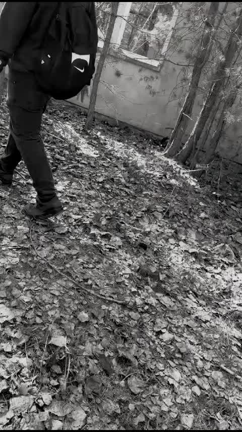 @Dr_Sir_Lanzelot_Gorilla