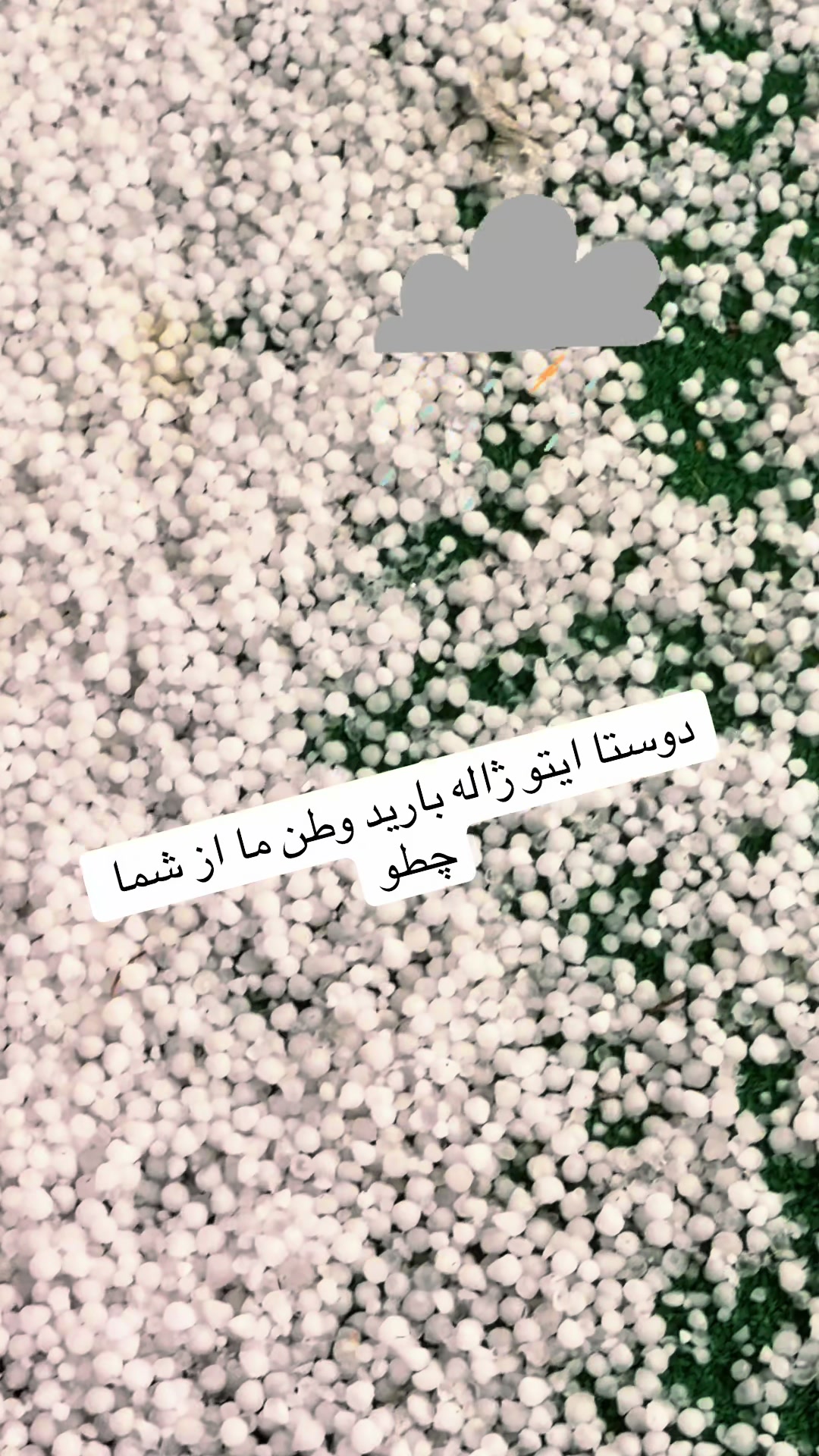 @M Selina💎🩵
