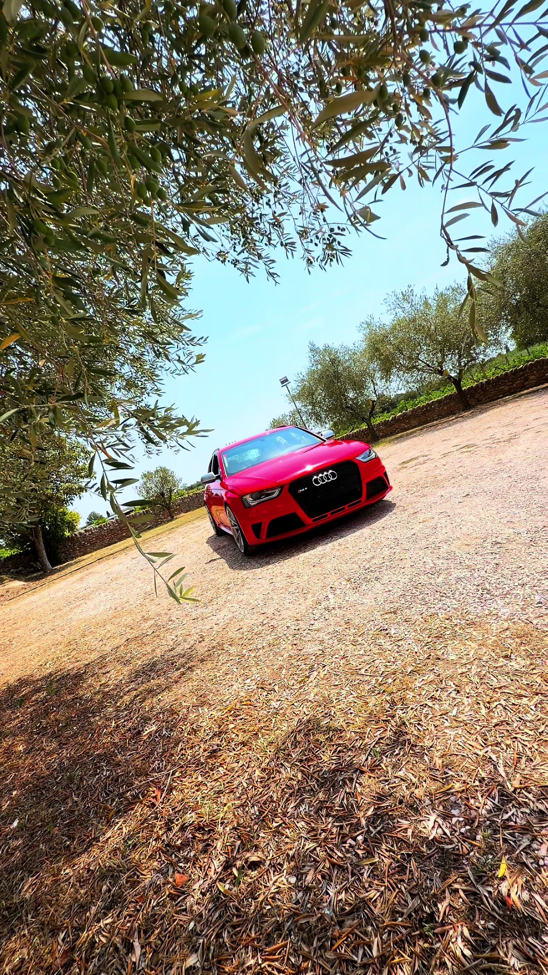 @Audi ABT RS4-S & MisanoredRS4