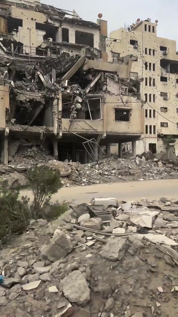 @the.girl.in.gaza