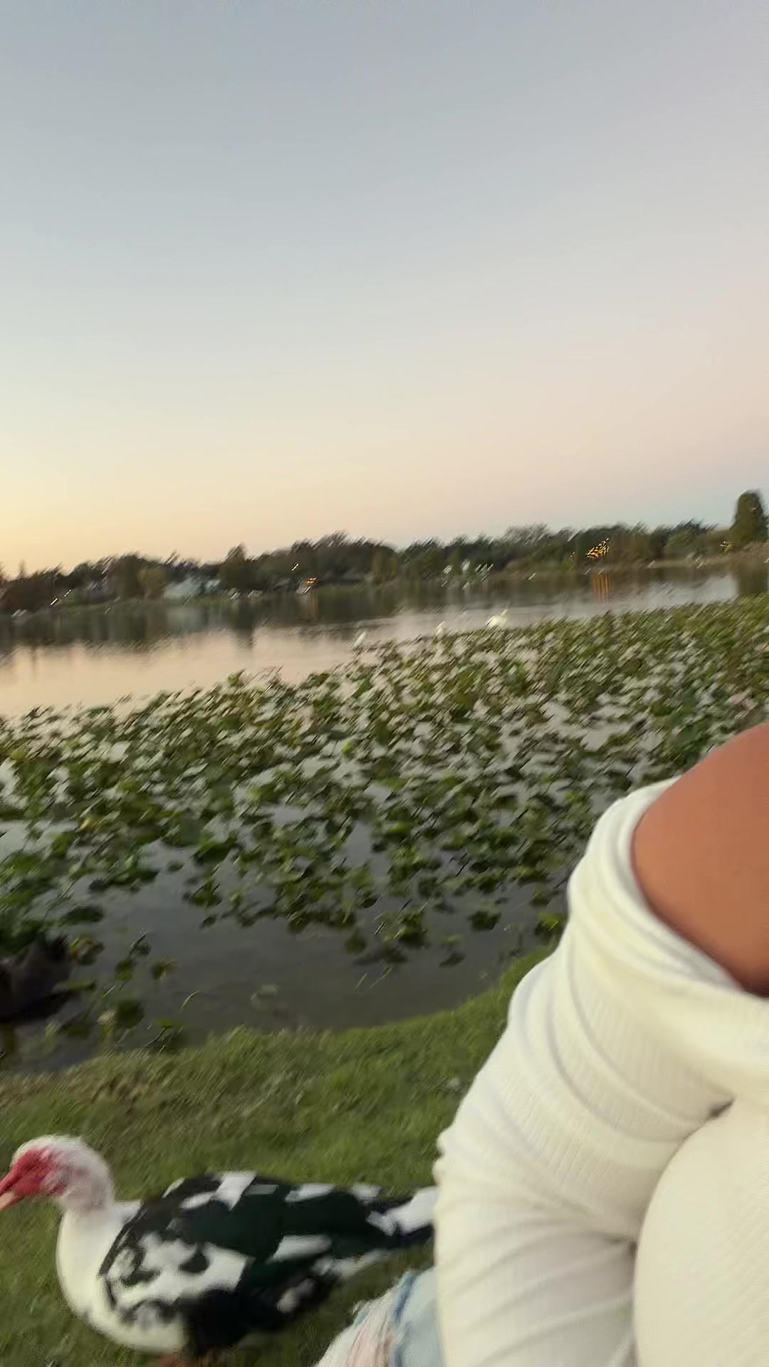 @nahara96