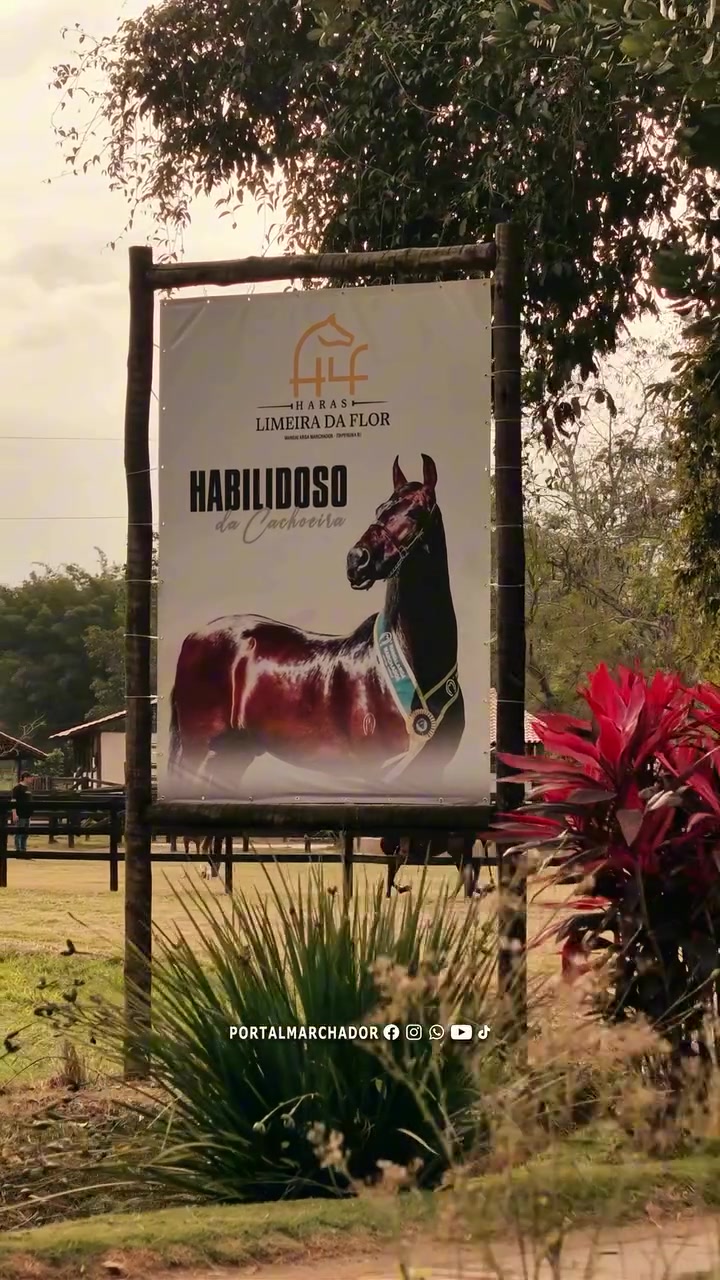 @Portal Marchador