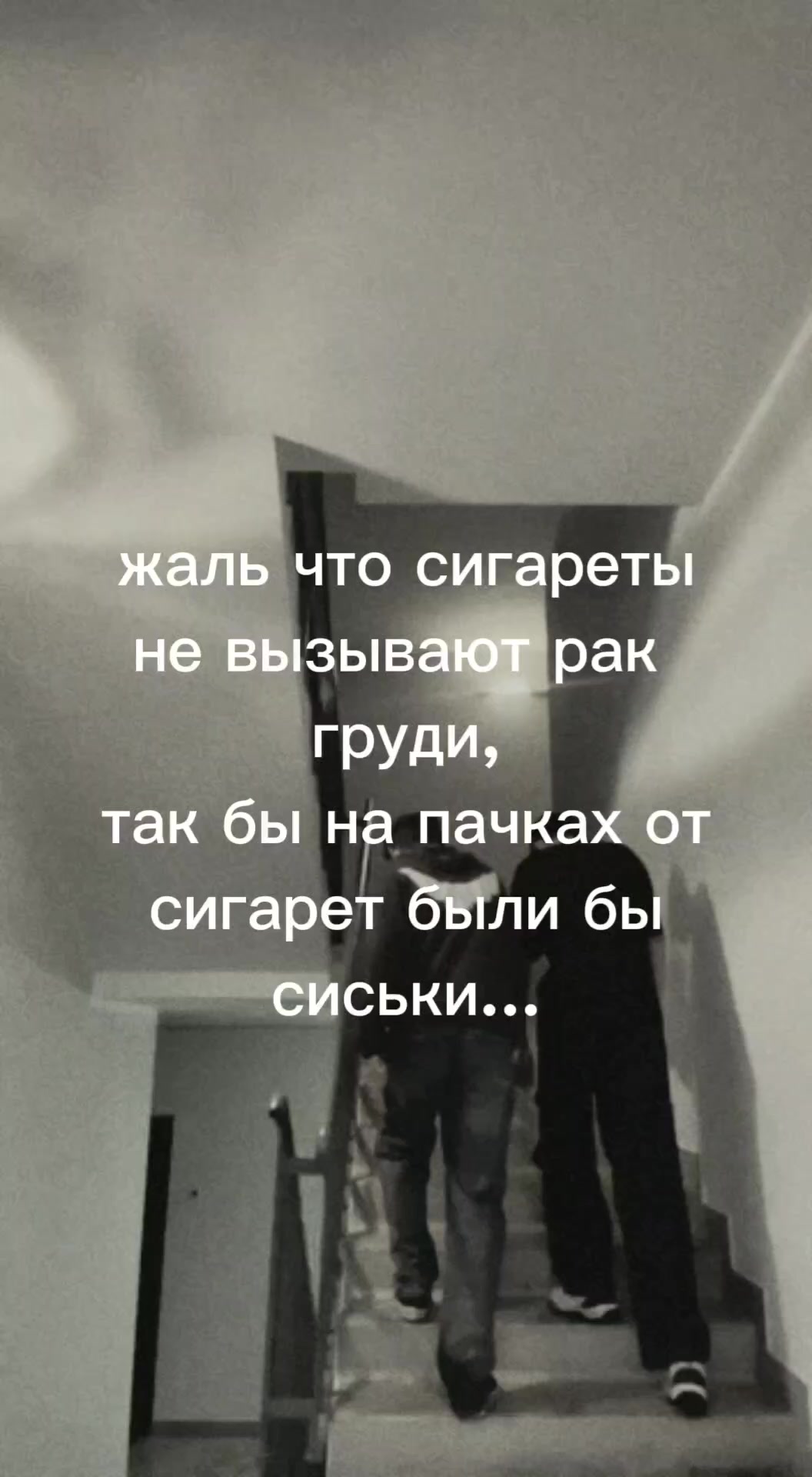 @трэвис
