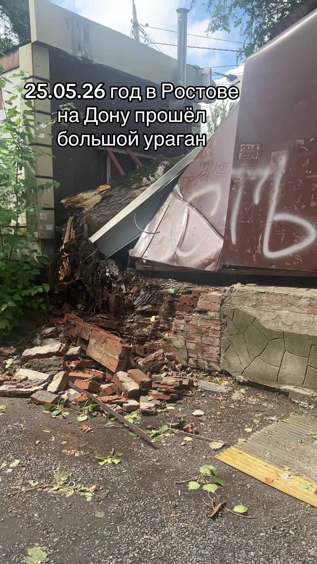 @❣️Миланочка❣️