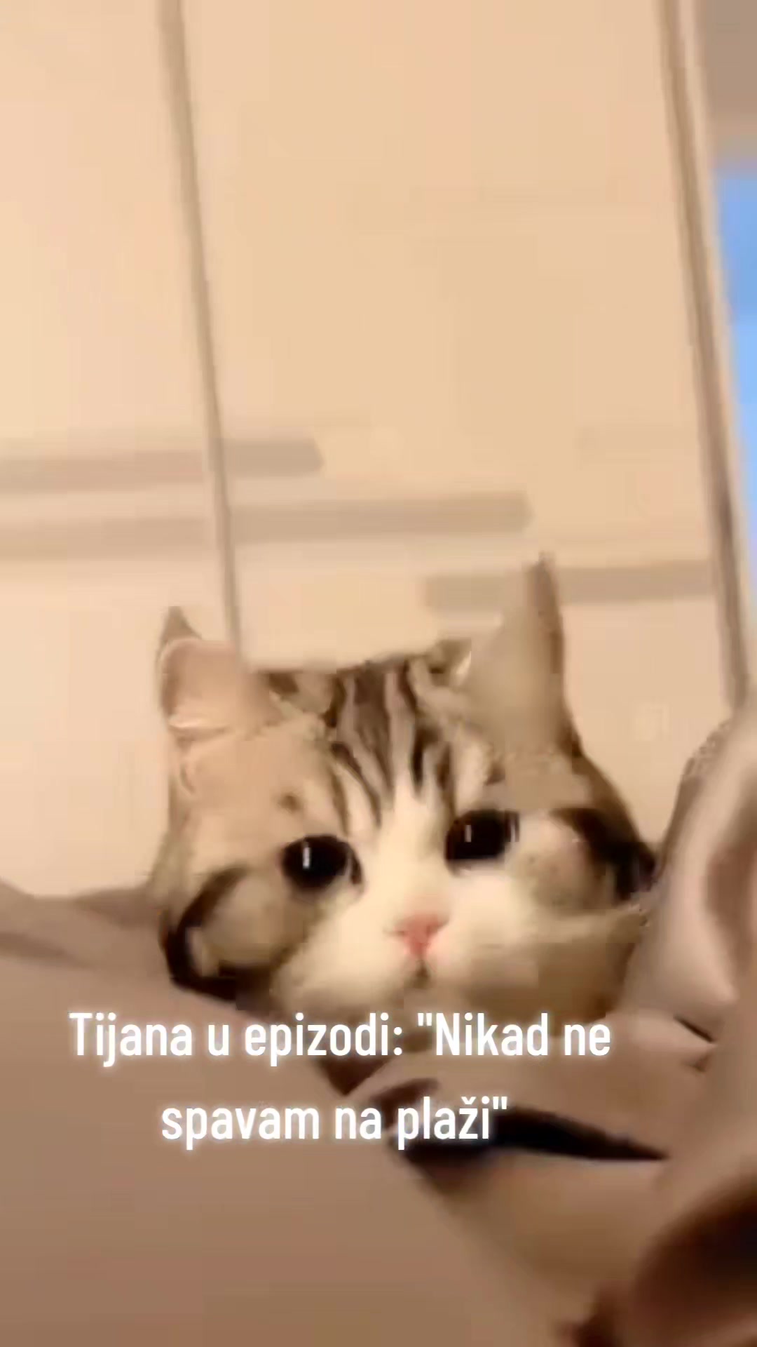 @jasna_kangoo_mrvica