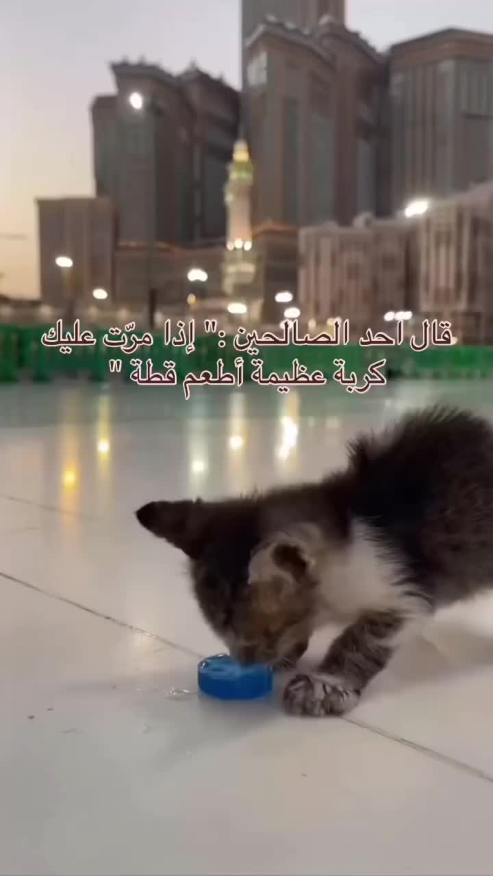 @Al3nod シ