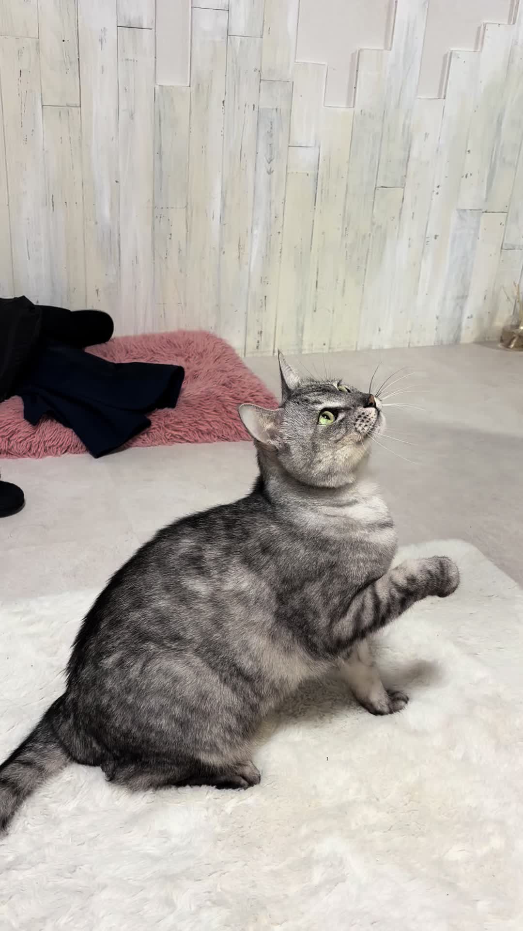 @そぉーちゃん🍷🐈soochan