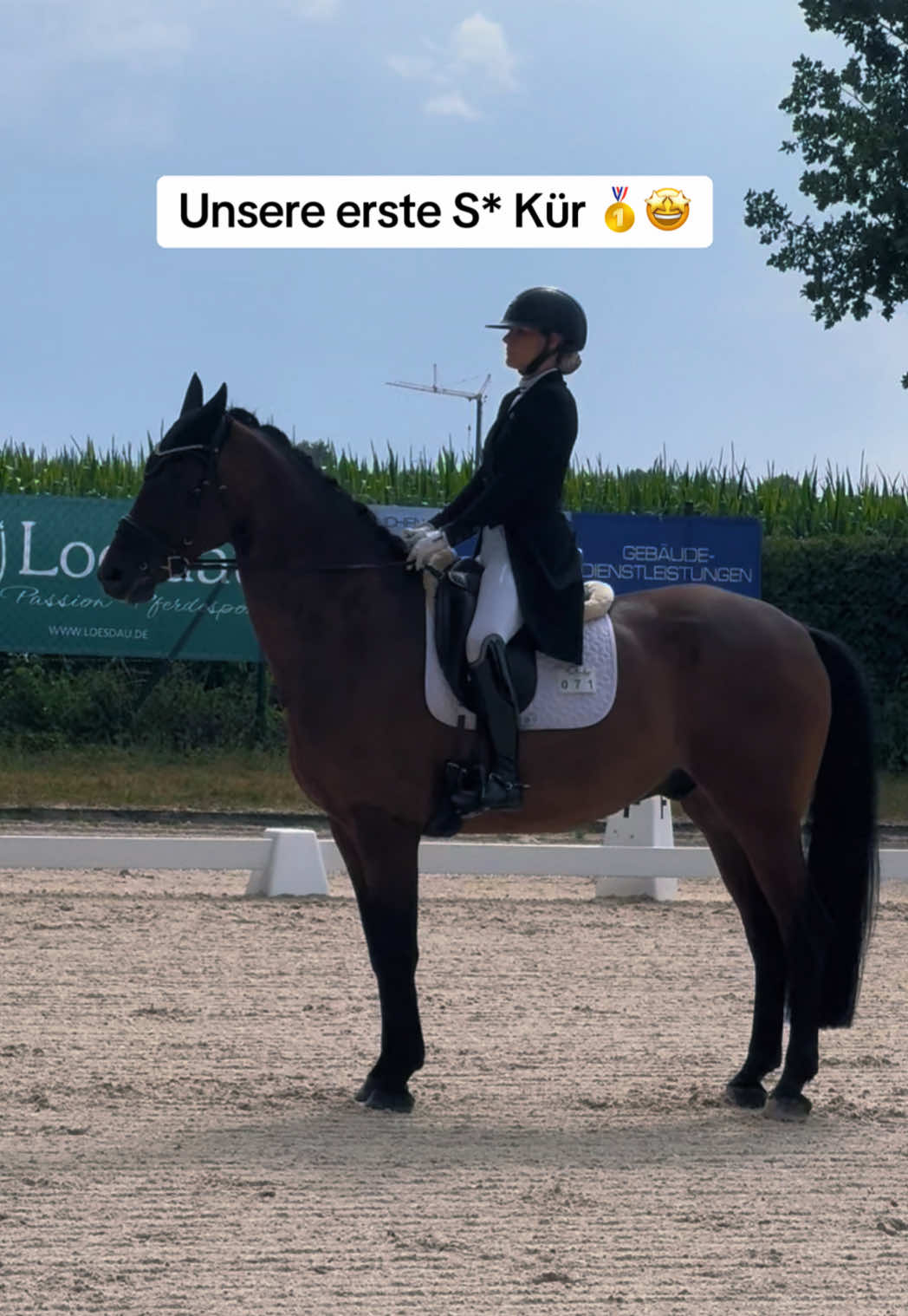 @VickyundTicky