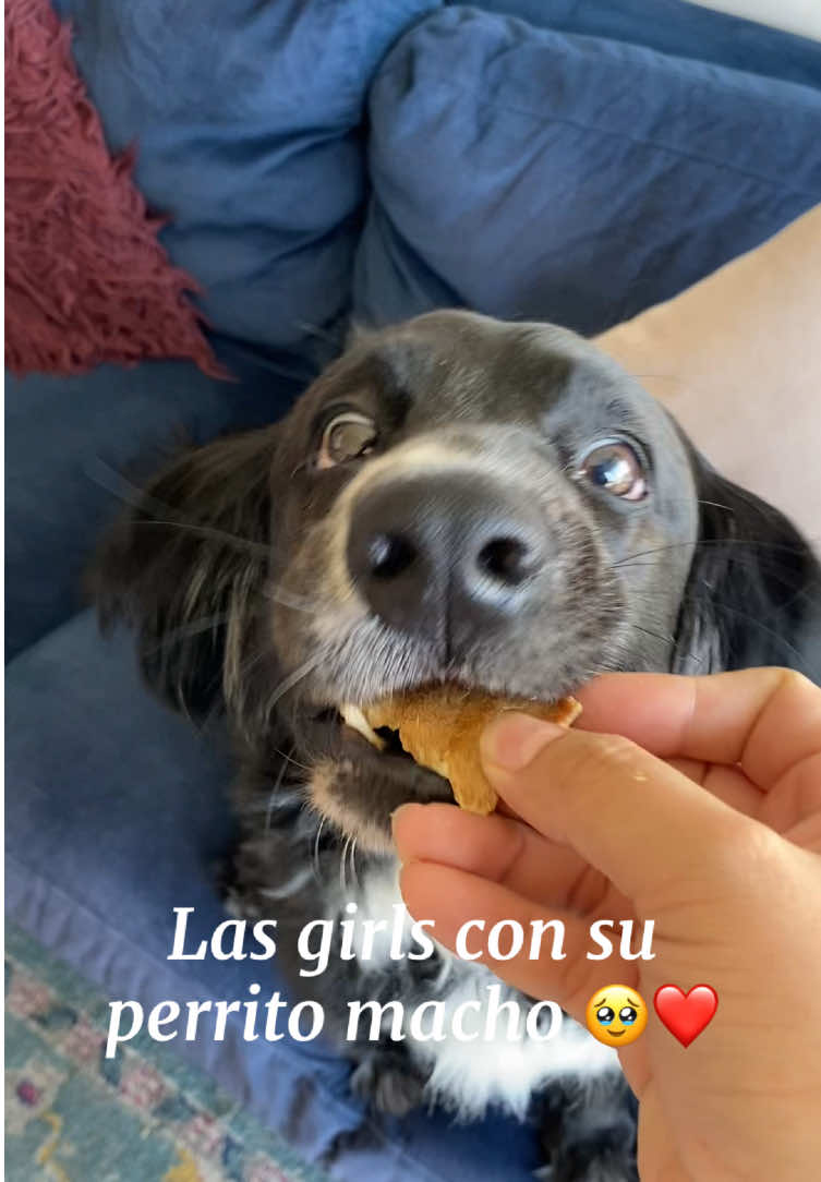 @Natalia