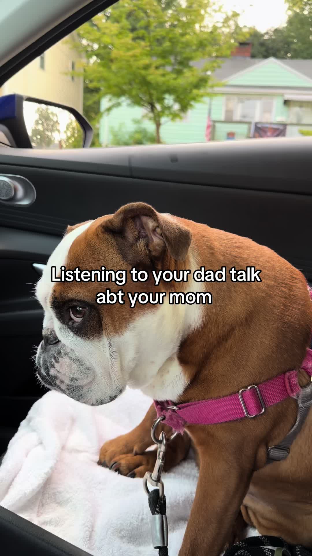 @Poptart & Patches