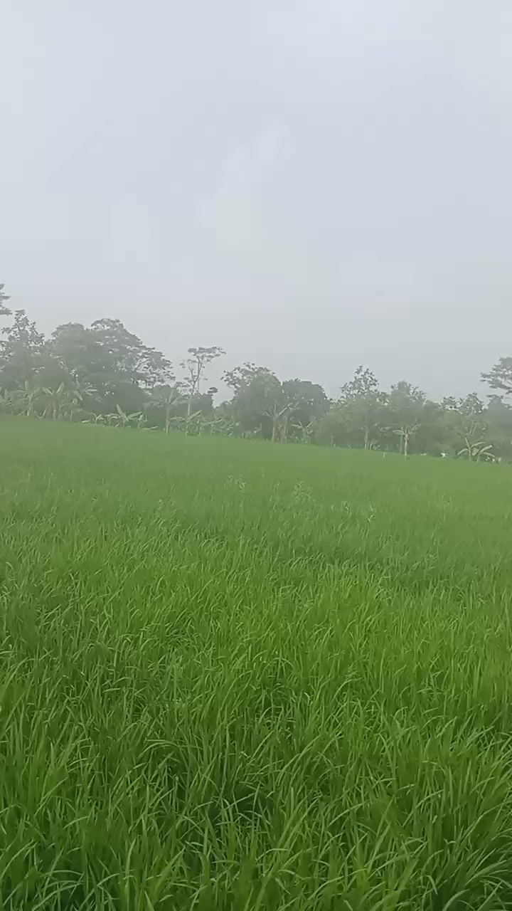 @Tatang Wijaya