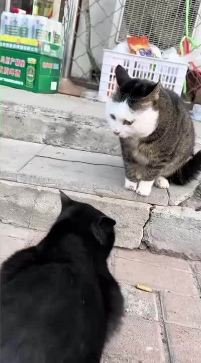 @Funny