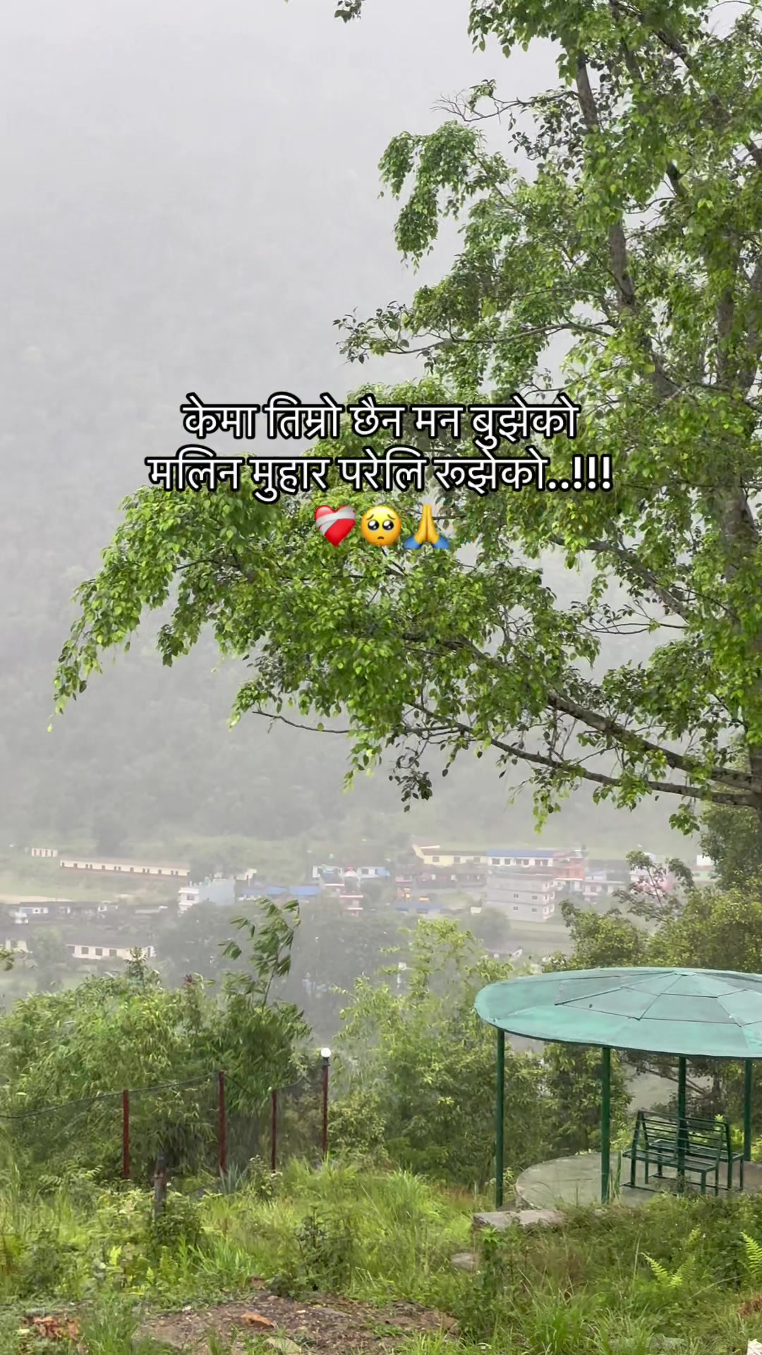@☮️🕊️